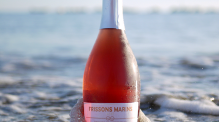 portfolio-vigneron-oleron